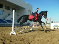 S6301865-1.webp