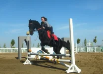 S6301864-1.webp
