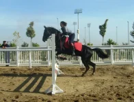 S6301866-1.webp