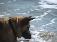 ocean1.webp