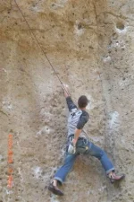 ape wall.webp