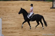 z_b3d99493.webp