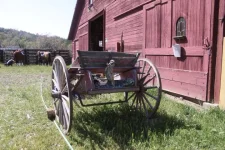 tehachapi.webp