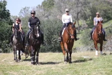 tehachapi 1.webp