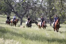tehachapi 2.webp