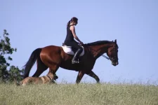 tehachapi 3.webp