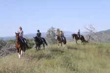 tehachapi 4.webp