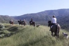 tehachapi 5.webp