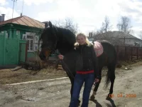 x_bf2813e7.webp