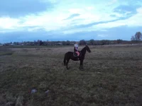 16.webp
