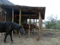SAM_2188.webp