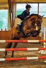 horseru.webp