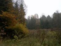 SAM_2191.webp