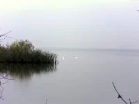 SAM_2205.webp