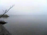 SAM_2221.webp