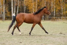 HV9C7255.webp