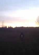 IMAG0288.webp