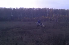 IMAG0284.webp