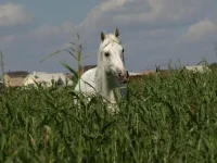 3b8d80cc.webp