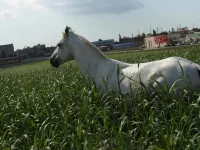 7e1f4690.webp