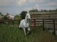 fb84aca2.webp
