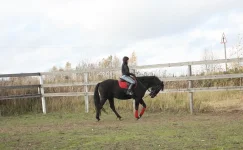 y_5b127049.webp