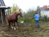 SAM_2288.webp