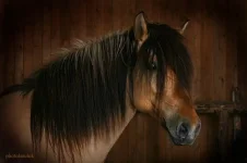 0_5a3e6_9ec987f5_L.webp