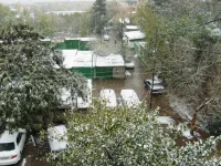 S6301937.webp