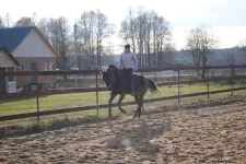 прокони3.webp