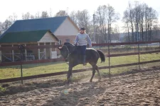 прокони4.webp