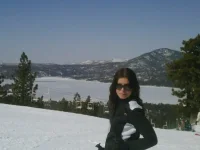 big bear.webp