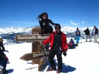 mammoth.webp