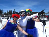mammoth 1.webp