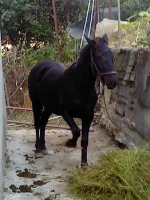 Image0000.webp