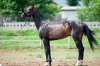 IMG-20170705-WA0022.jpg