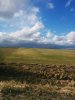 IMG-20170412-WA000.jpg