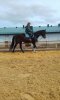 IMG-20170414-WA000.jpg