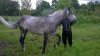 IMG-20170814-WA0017.jpg