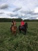 IMG-20170831-WA0051.jpg