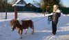 WP_20170205_001.jpg