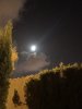 IMG_0055.JPG
