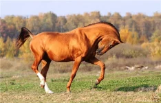 d3bd02324959.webp