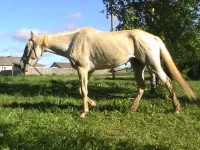 июнь 2009 года.webp