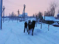 IMG_1101 - копия.webp