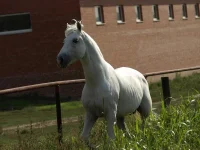 a0e5ca6d.webp