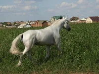 853b6361.webp