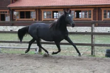 Изо 038.webp