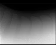 West 5.webp