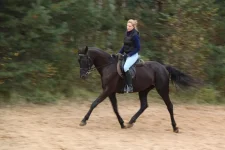 x_22abd502.webp